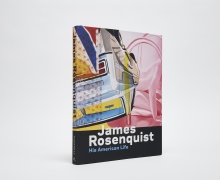 Rosenquist Catalogue cover, detail of Lanai