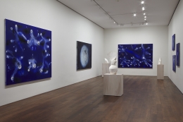 Installation view of Miquel Barceló at Acquavella Galleries from October 27 - December 9, 2016.