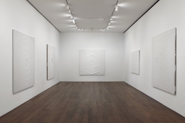 Installation view of Miquel Barceló at Acquavella Galleries from October 8 - November 21, 2013.