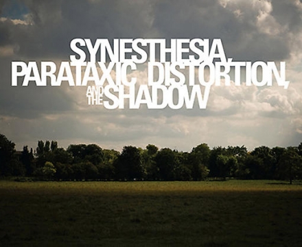 Damian Loeb Synesthesia, Parataxic Distortion, and the Shadow Cover